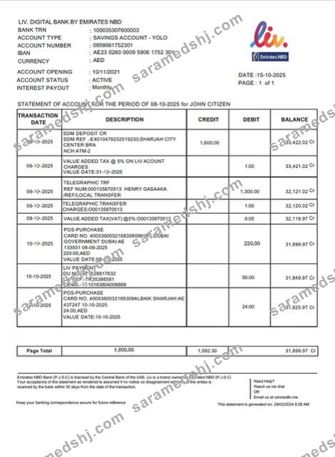 UAE Liv. Digital Bank statement of account Word and PDF template